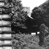 firm 都会の静寂