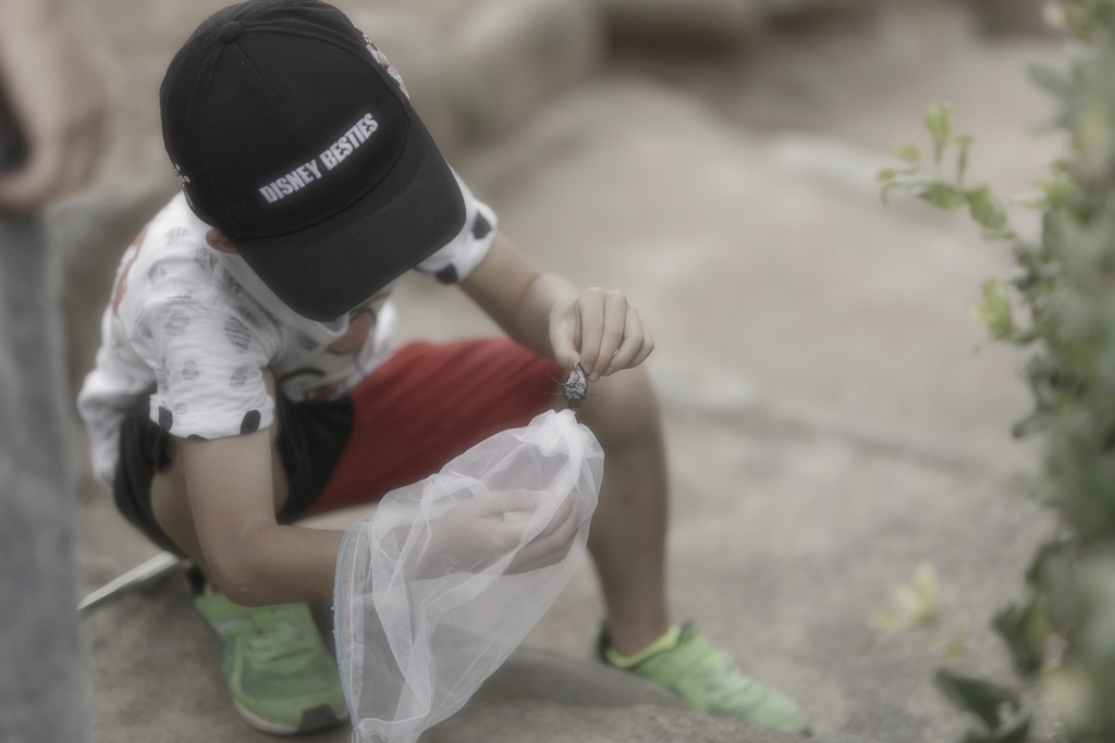 少年時代