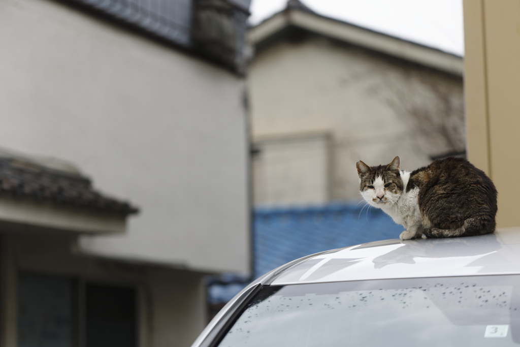 すまいる