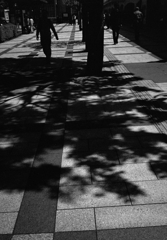 film      暑さの予感