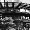film 谷間の緑
