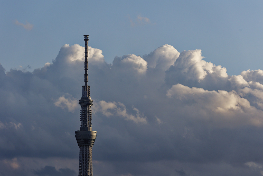 夏の予感