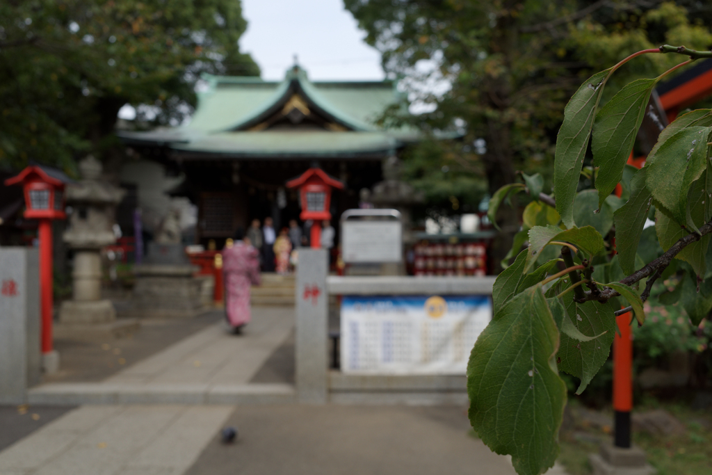 宮司様は撮影もこなします