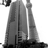film 東京天樹点描