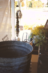 フランス生まれの