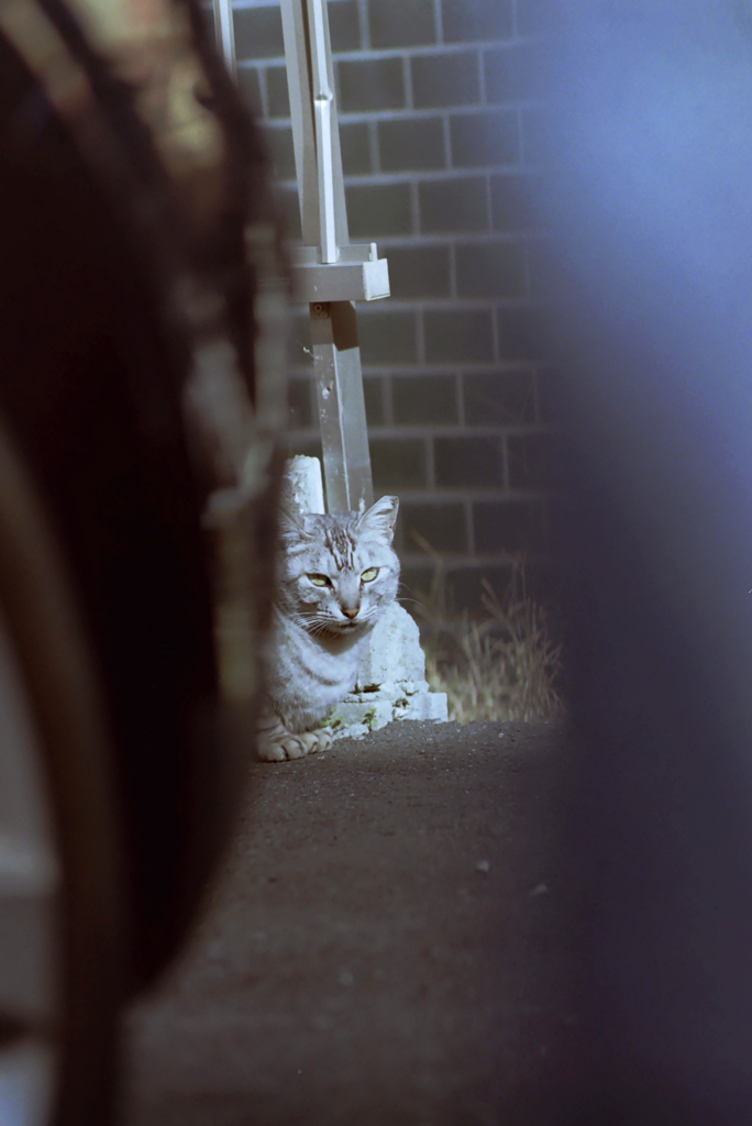 film  ああ またあいつか