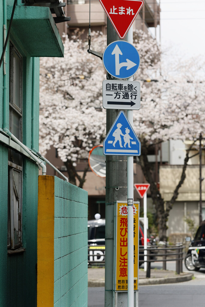 ぱすてる＆びびっど