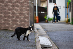 冷たさ　お届け