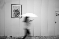 夏が往きます