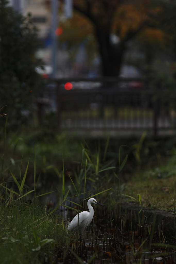 飛ばさぬように