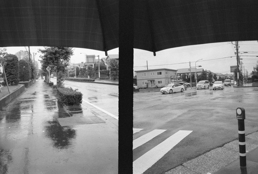 film 30年前の消費期限切れモノクロフィルムで撮ってみた