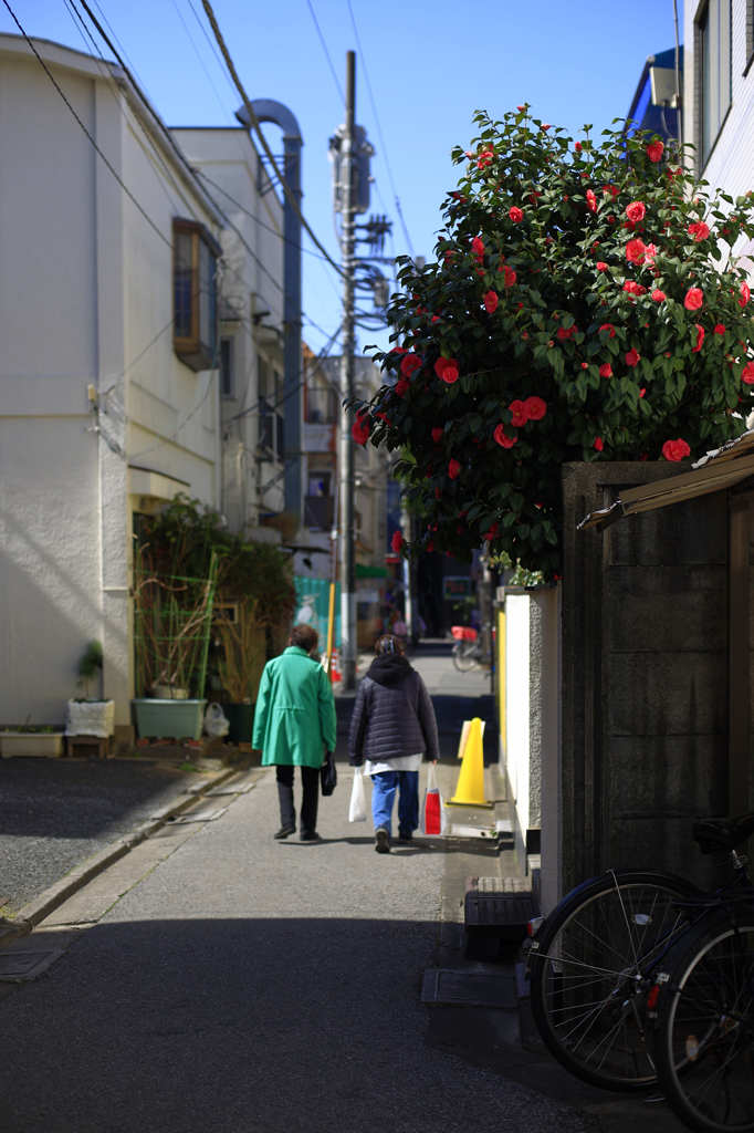 からぁ おぶ かつしか