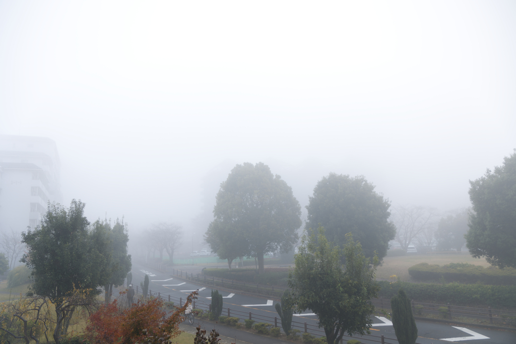 霧に覆われた日