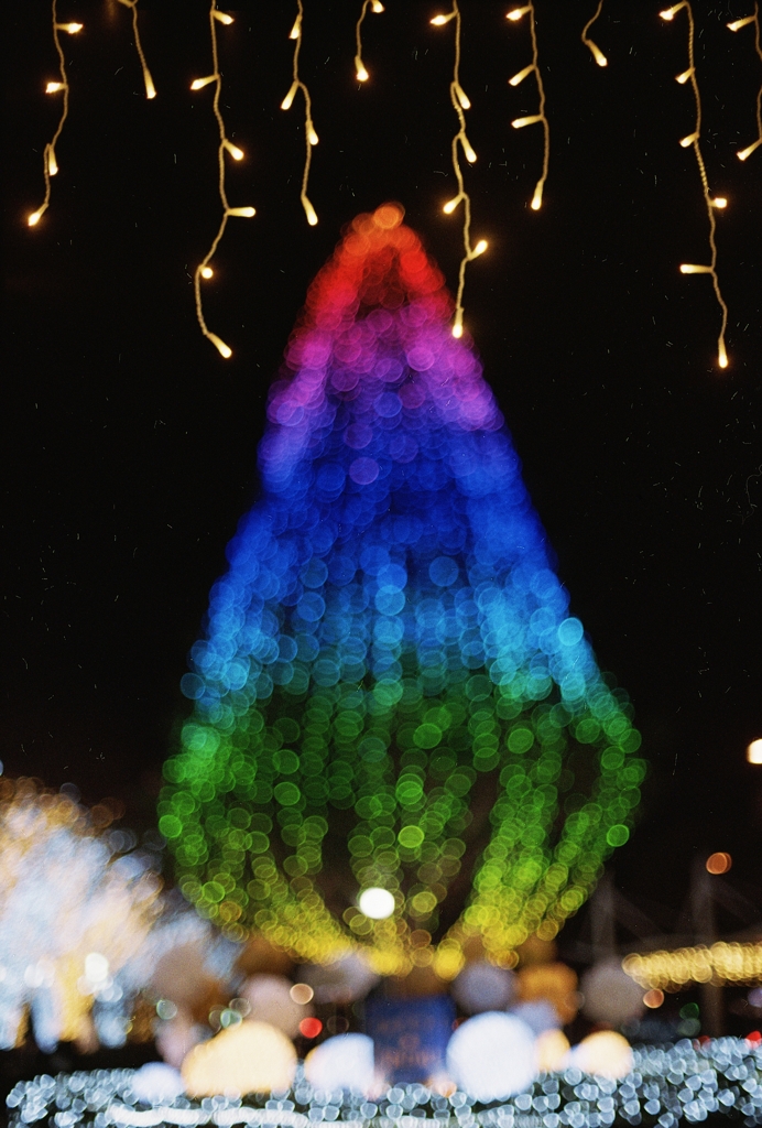 film　フィルムでもこんな色出せるんだね