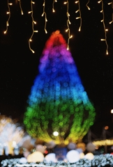 film　フィルムでもこんな色出せるんだね