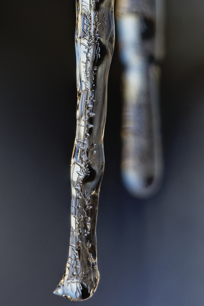 東京で氷柱を見るのは随分久しぶりな気がします