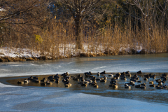 あーん 寒いよ 狭いよぉ