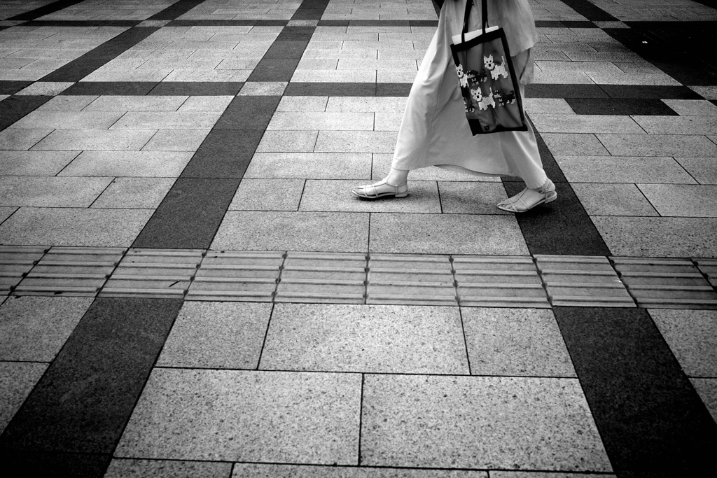 ウエストハイランドホワイトテリアだよね それ