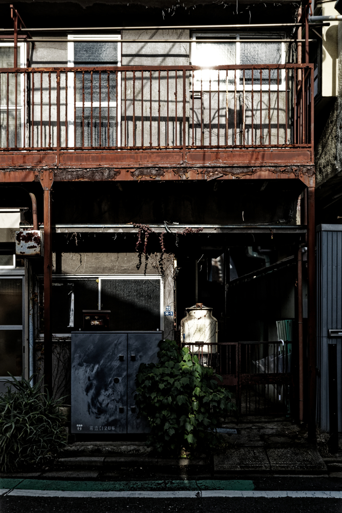 the Red Rust