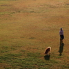 Walking with lover