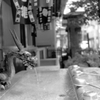 film ピ、ピンボケちゃうからな