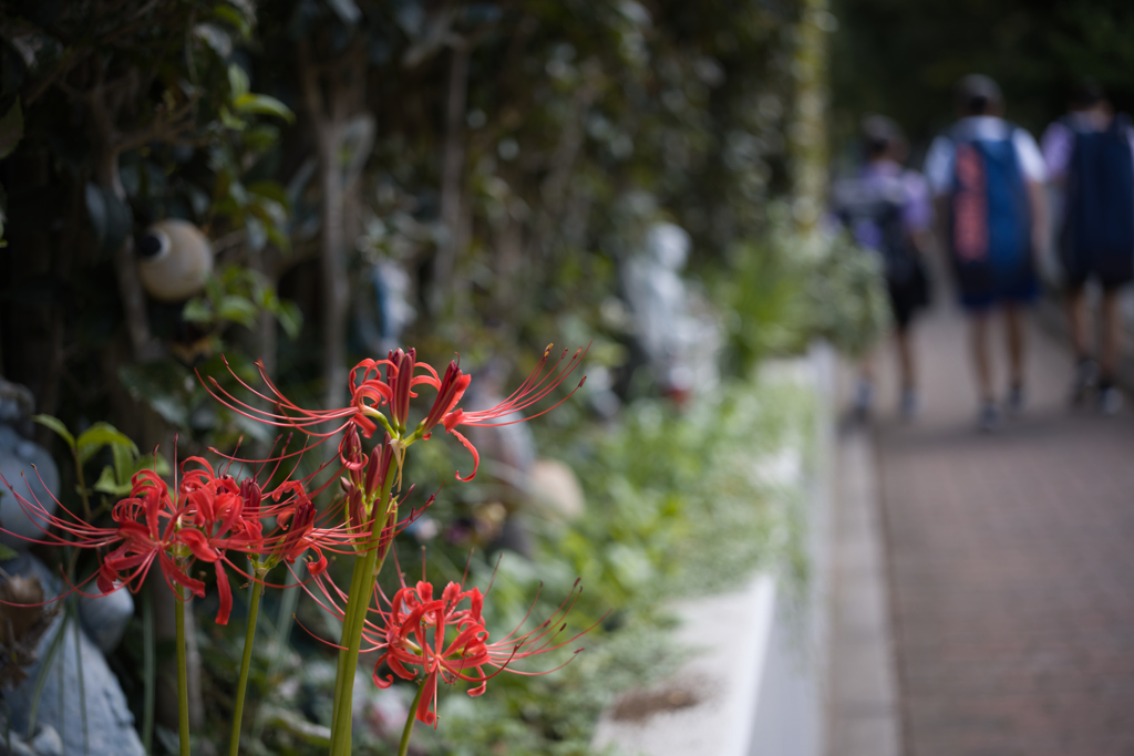 通学路