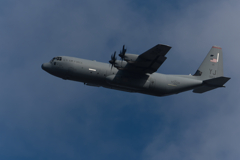 今日飛んでたのはこれ