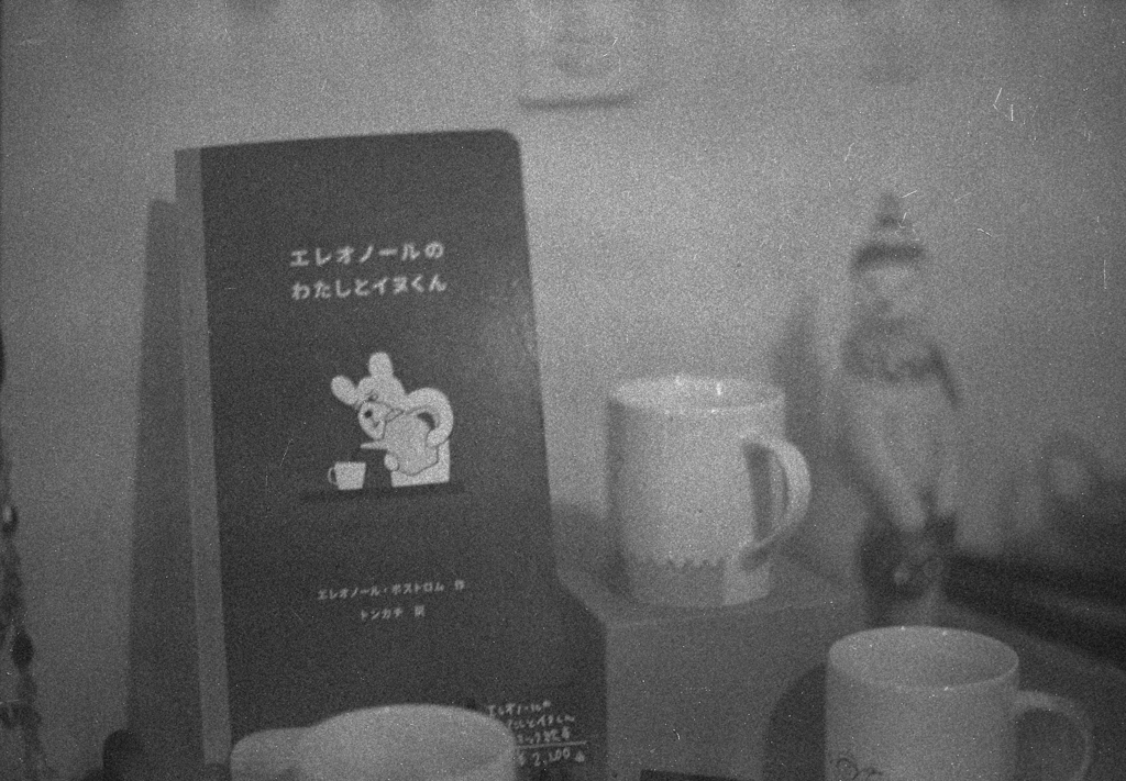 film 30年前に消費期限の切れたカラーフィルム使ってみた