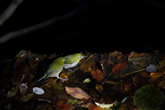 日当たり10分間