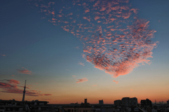 東京下町夕暮れ慕情