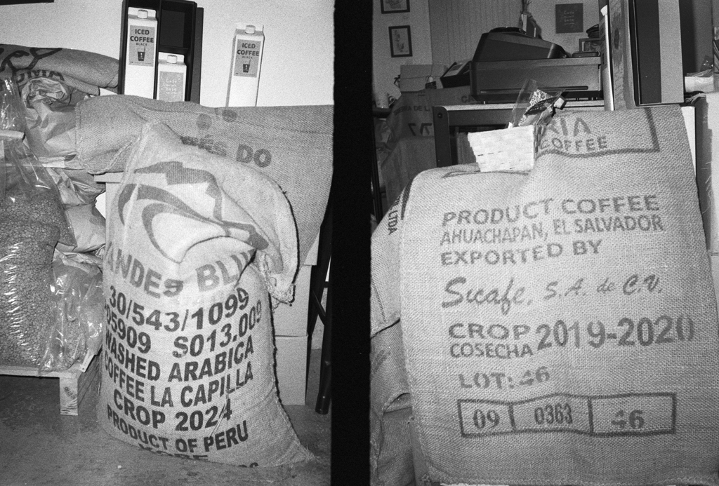 film 30年前の消費期限切れモノクロフィルムで撮ってみた