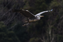 君たちはどう生きるか