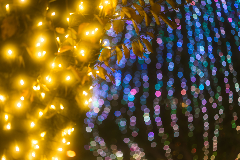 世界はボケで溢れてる