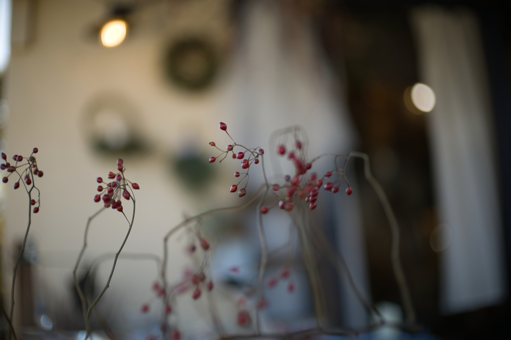 ボケの形もあじのうち