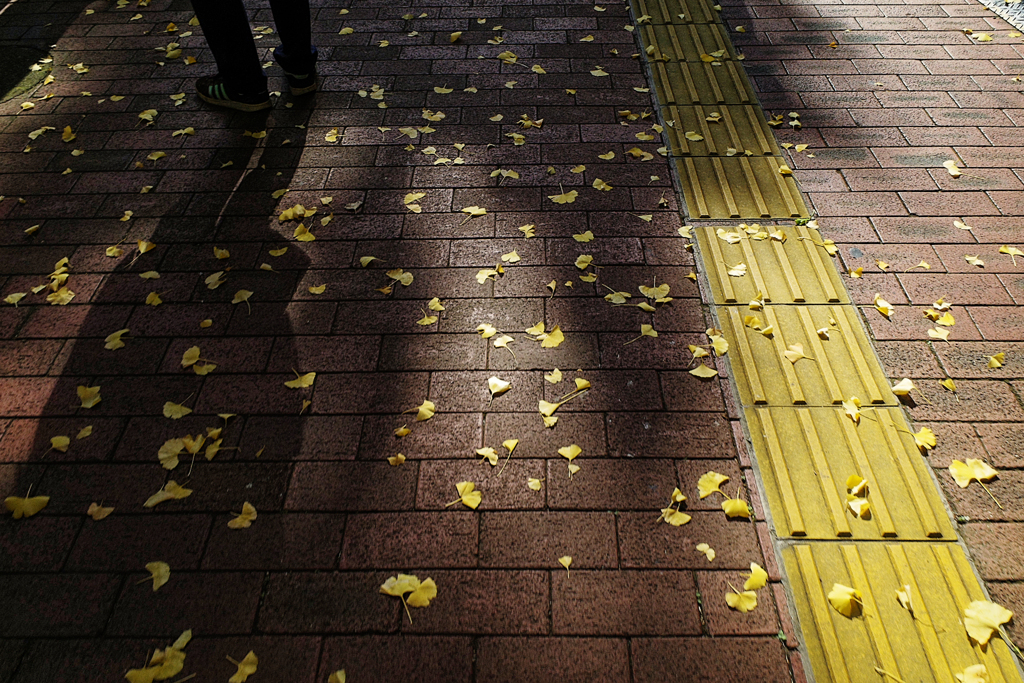 Yellow Magic