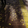 Yellow Magic