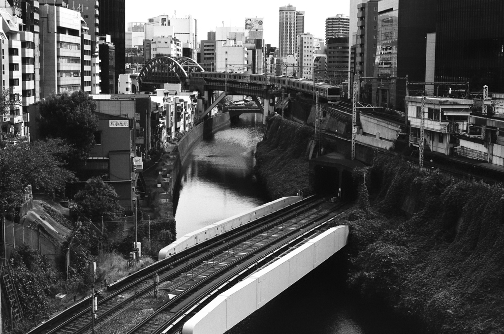 film  聖橋から