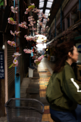 布桜咲く