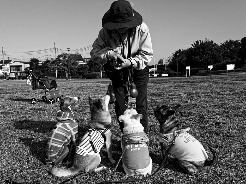 全集中の呼吸 改め 「ともだちわんこ」