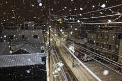 昨日　東京に雪が降りました