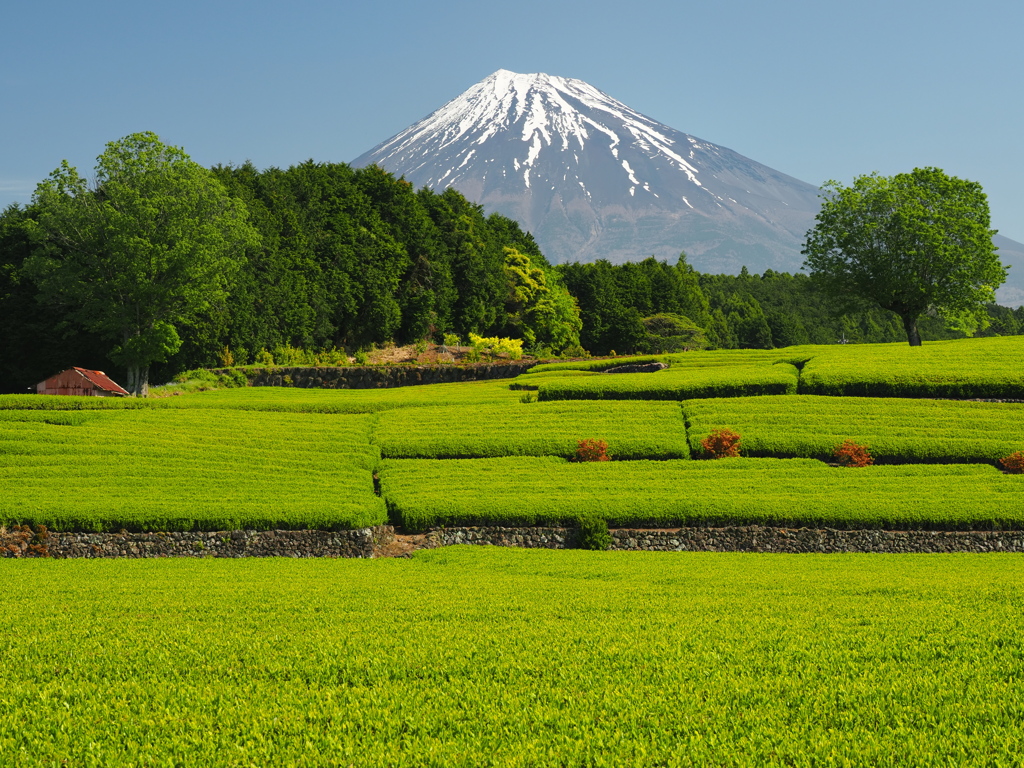 静岡の風景
