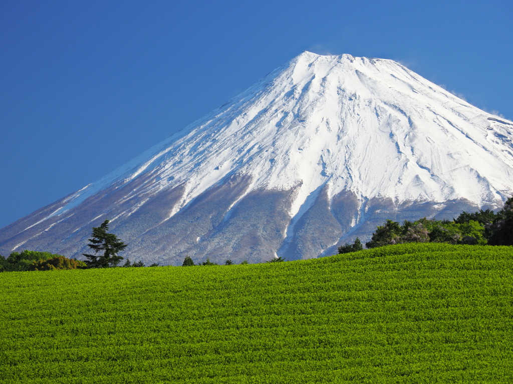静岡の風景②