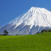 静岡の風景②