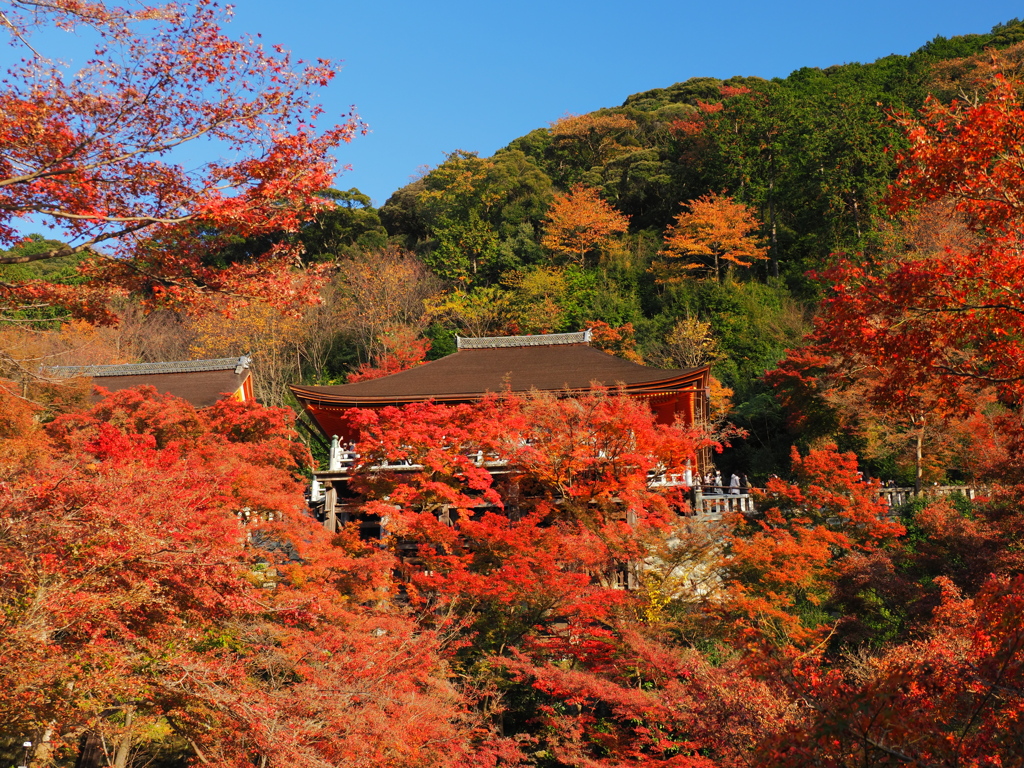 朱に囲まれて