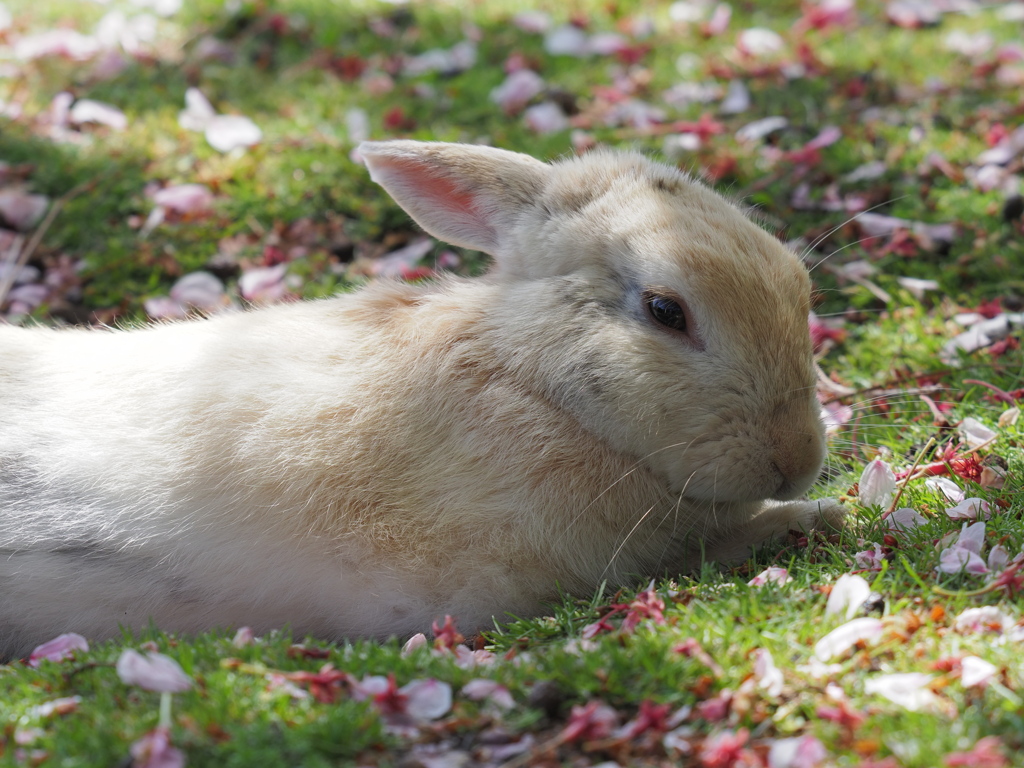 ゆるやかな時間