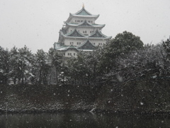 雪の名古屋城