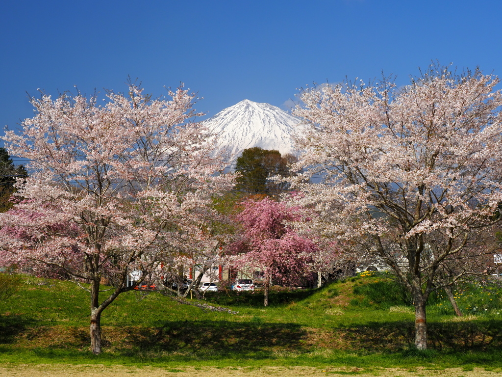 ≒シンメトリー