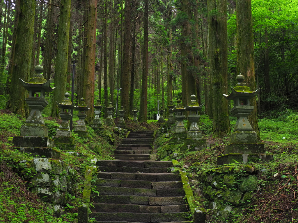 緑の中へと