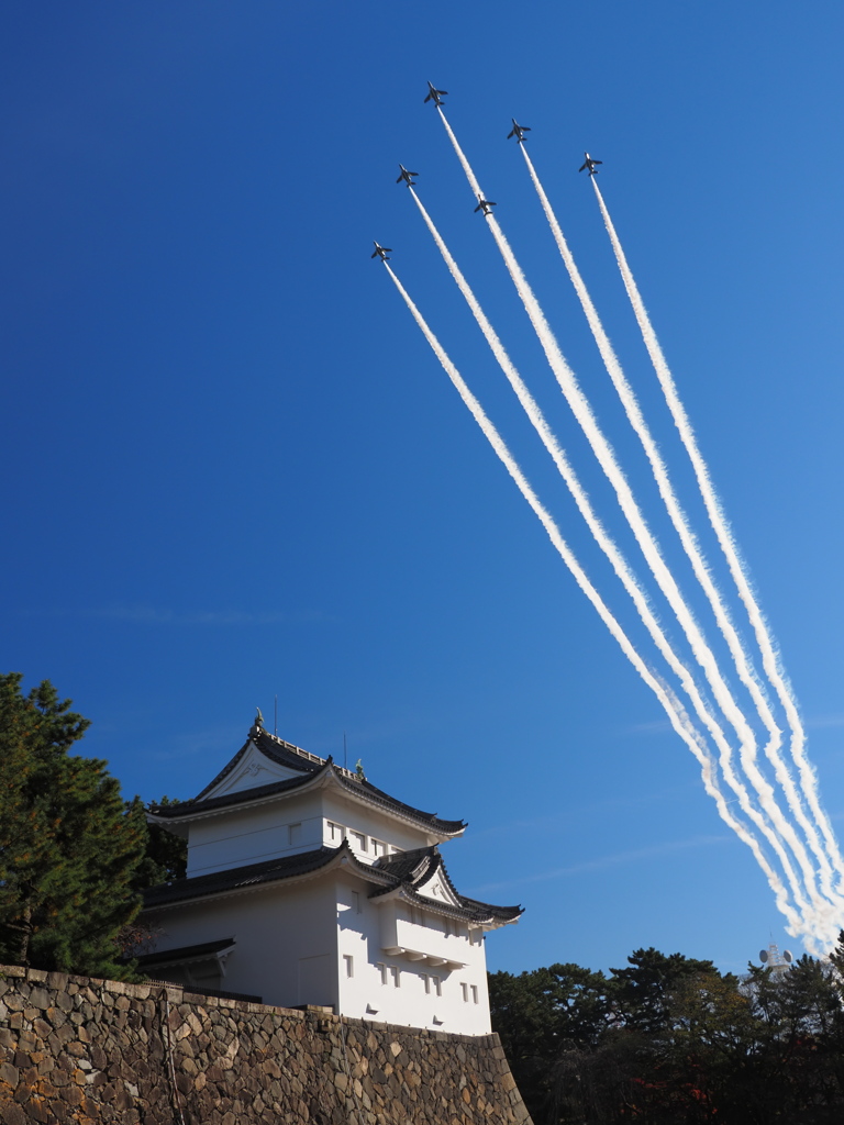 城空を舞う