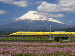 春の富士山＆ドクターイエロー
